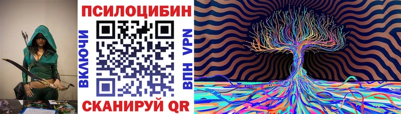 цена наркотик Петропавловск-Камчатский мега зеркало Галлюциногенные грибы мицелий