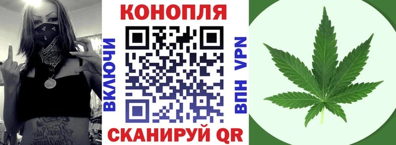 мега онион  цены наркотик  Петропавловск-Камчатский  Бошки Шишки SATIVA & INDICA 